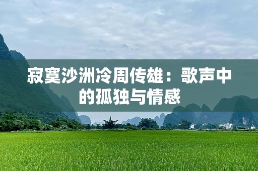 寂寞沙洲冷周传雄：歌声中的孤独与情感