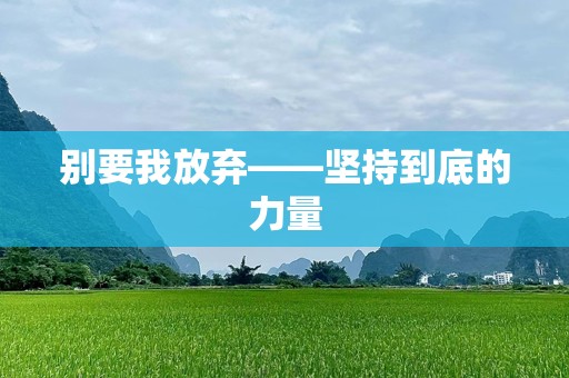别要我放弃——坚持到底的力量