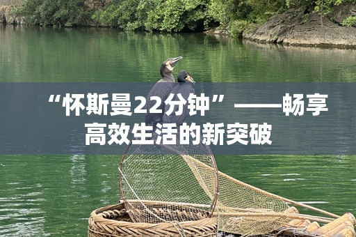 “怀斯曼22分钟”——畅享高效生活的新突破