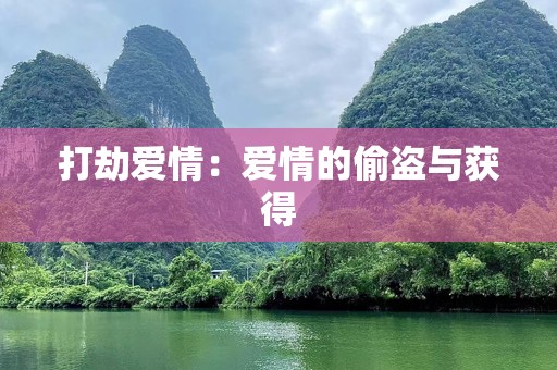 打劫爱情：爱情的偷盗与获得