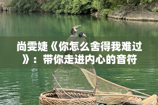 尚雯婕《你怎么舍得我难过》：带你走进内心的音符