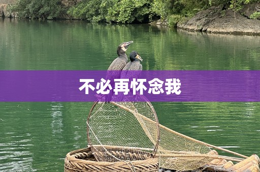 不必再怀念我