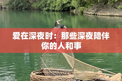 爱在深夜时：那些深夜陪伴你的人和事