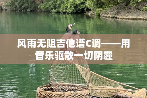 风雨无阻吉他谱C调——用音乐驱散一切阴霾