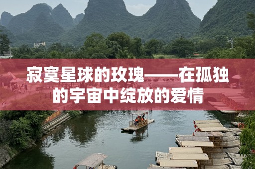 寂寞星球的玫瑰——在孤独的宇宙中绽放的爱情