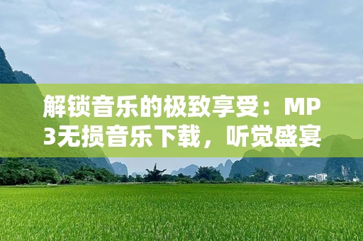 解锁音乐的极致享受：MP3无损音乐下载，听觉盛宴触手可及