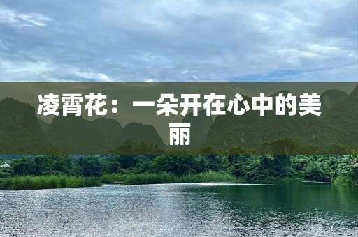 凌霄花：一朵开在心中的美丽