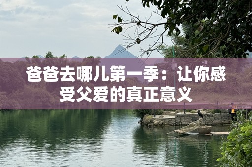 爸爸去哪儿第一季：让你感受父爱的真正意义