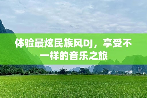 体验最炫民族风DJ，享受不一样的音乐之旅