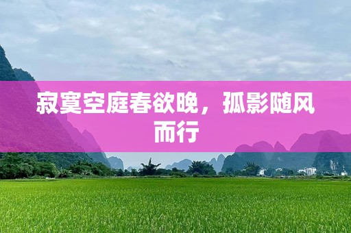 寂寞空庭春欲晚，孤影随风而行