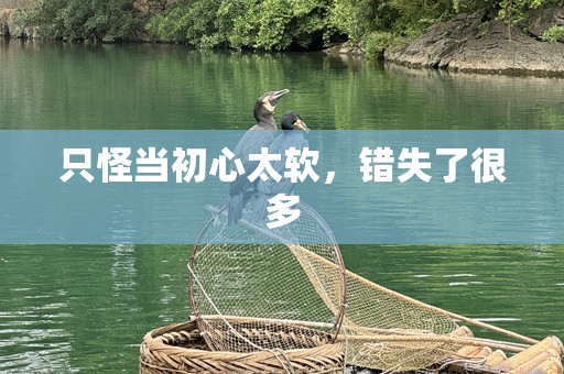 只怪当初心太软，错失了很多