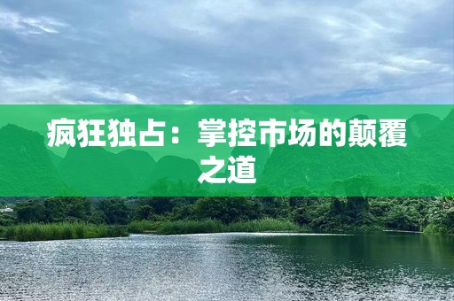 疯狂独占：掌控市场的颠覆之道
