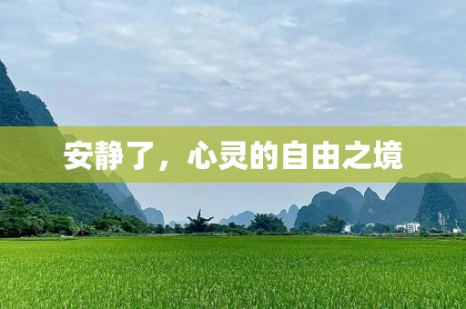 安静了，心灵的自由之境