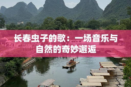 长春虫子的歌：一场音乐与自然的奇妙邂逅
