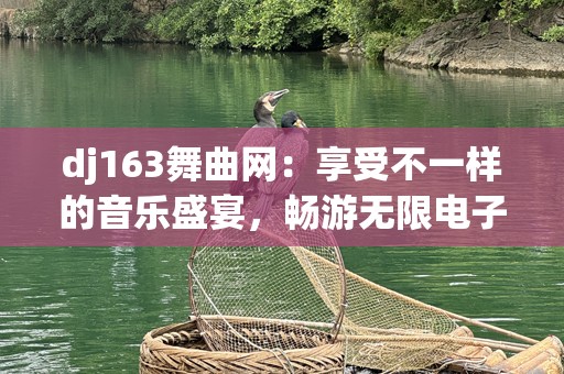 dj163舞曲网：享受不一样的音乐盛宴，畅游无限电子乐世界