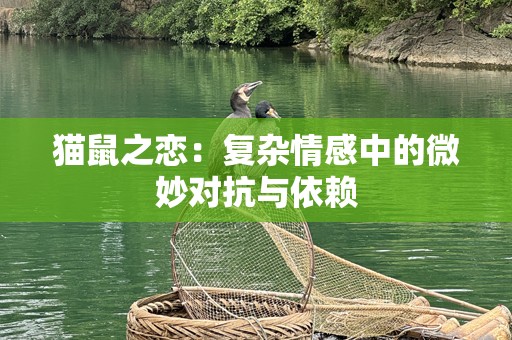猫鼠之恋：复杂情感中的微妙对抗与依赖