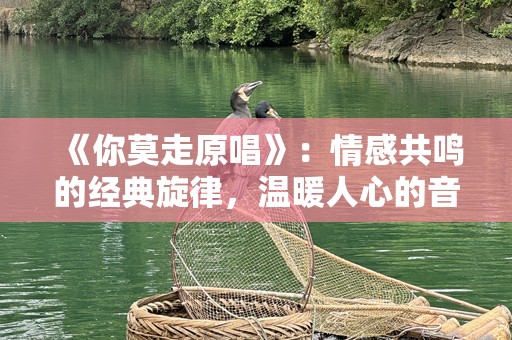 《你莫走原唱》：情感共鸣的经典旋律，温暖人心的音乐之旅
