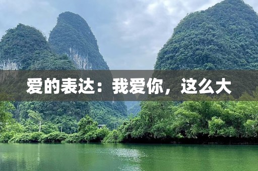 爱的表达：我爱你，这么大