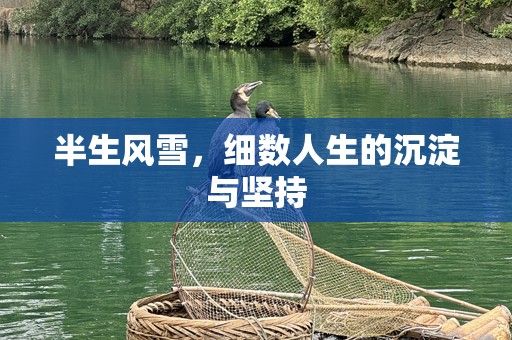 半生风雪，细数人生的沉淀与坚持