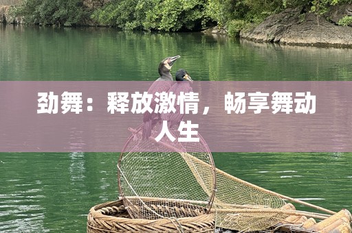 劲舞：释放***，畅享舞动人生