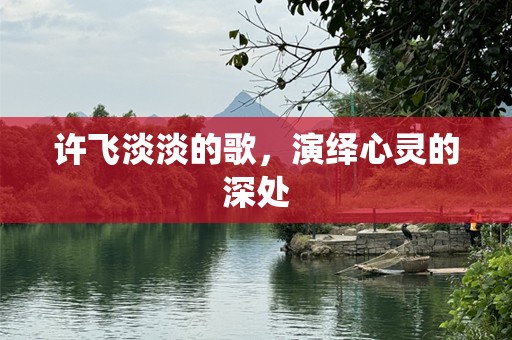 许飞淡淡的歌，演绎心灵的深处
