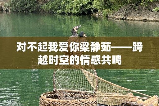对不起我爱你梁静茹——跨越时空的情感共鸣