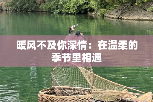 暖风不及你深情：在温柔的季节里相遇