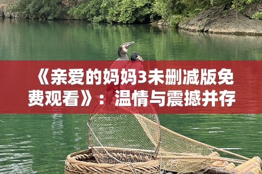 《亲爱的妈妈3未删减版免费观看》：温情与震撼并存，触动你心底的那份柔软