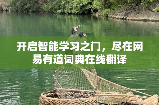 开启智能学习之门，尽在网易有道词典在线翻译