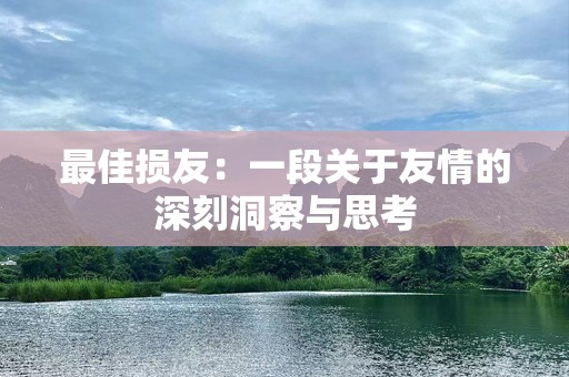 最佳损友：一段关于友情的深刻洞察与思考