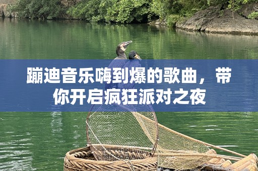 蹦迪音乐嗨到爆的歌曲，带你开启疯狂派对之夜