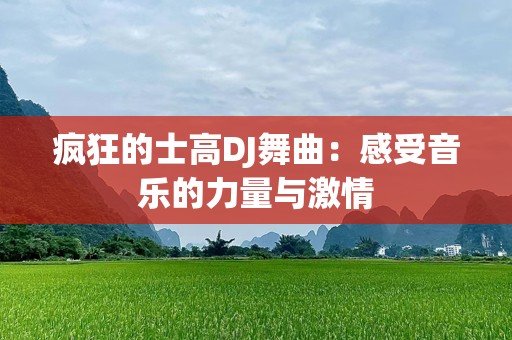 疯狂的士高DJ舞曲：感受音乐的力量与激情