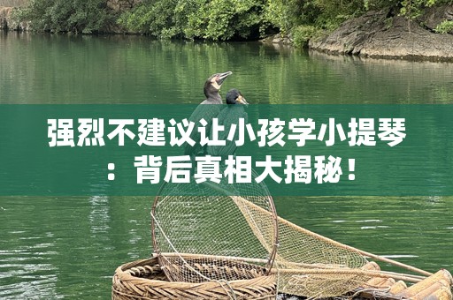 强烈不建议让小孩学小提琴：背后真相大揭秘！