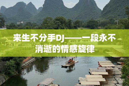 来生不分手DJ——一段永不消逝的情感旋律