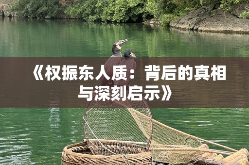 《权振东人质：背后的真相与深刻启示》