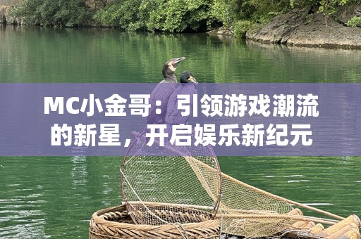 MC小金哥：引领游戏潮流的新星，开启娱乐新纪元