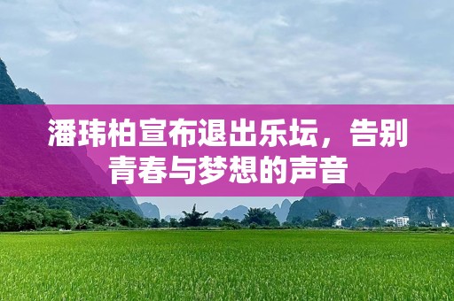 潘玮柏宣布退出乐坛，告别青春与梦想的声音