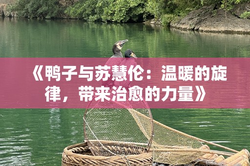《鸭子与苏慧伦：温暖的旋律，带来治愈的力量》