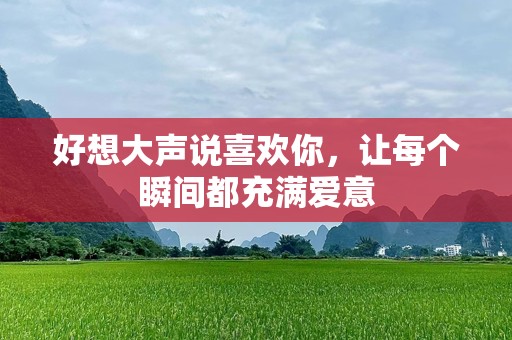好想大声说喜欢你，让每个瞬间都充满爱意