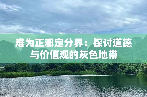 难为正邪定分界：探讨道德与价值观的灰色地带