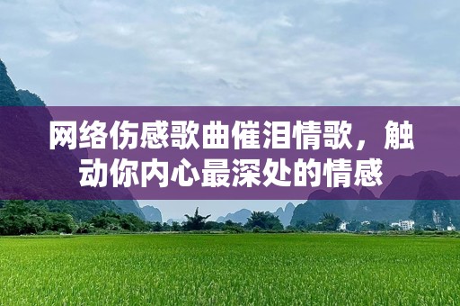 网络伤感歌曲催泪情歌，触动你内心最深处的情感
