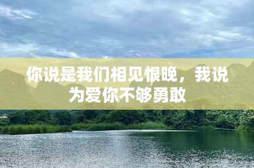 你说是我们相见恨晚，我说为爱你不够勇敢