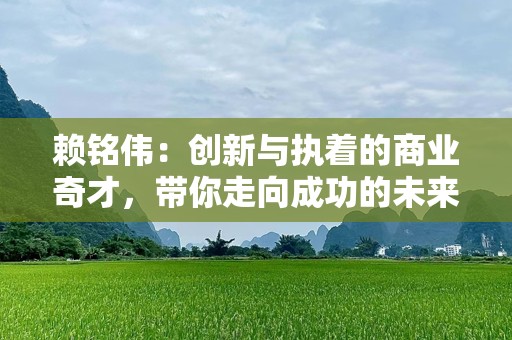 赖铭伟：创新与执着的商业奇才，带你走向成功的未来