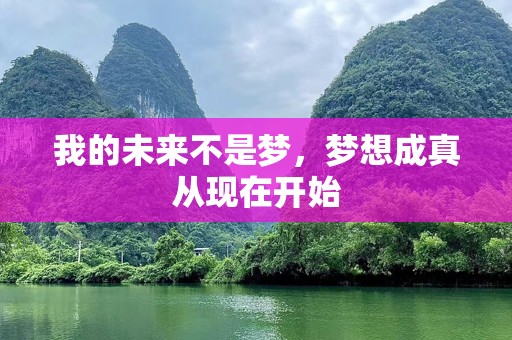 我的未来不是梦，梦想成真从现在开始