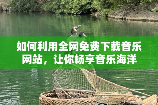 如何利用全网免费下载音乐网站，让你畅享音乐海洋