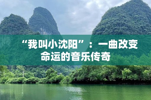 “我叫小沈阳”：一曲改变命运的音乐传奇