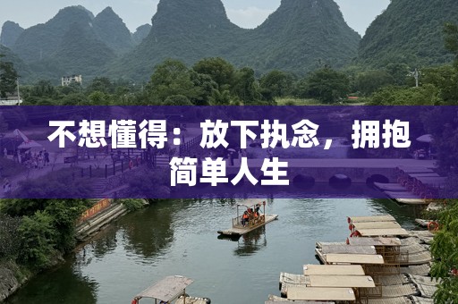 不想懂得：放下执念，拥抱简单人生