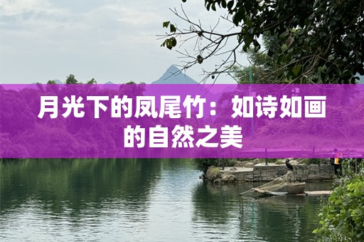 月光下的凤尾竹：如诗如画的自然之美