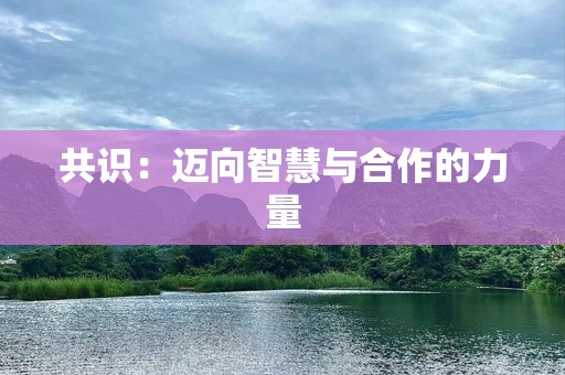 共识：迈向智慧与合作的力量