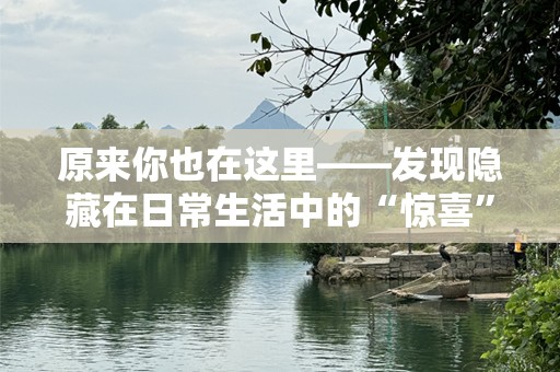 原来你也在这里——发现隐藏在日常生活中的“惊喜”